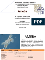 Ameba