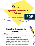 Digestive Diseases in Animals