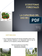 Ecosistemas Forestales