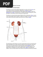 Chronic Kidney Disease Overview