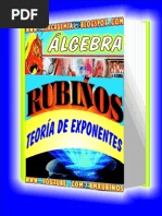 Teoría de Exponentes