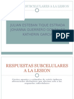 Respuestas Subcelulares A La Lesion