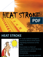 Heat Stroke