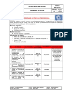 HSE-REG-03 Programa de Riesgo Psicosocial