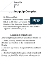 3 - Dentino-Pulp Complex (Mahmoud Bakr)