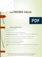 Topologia Malla