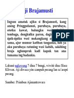 Aji Brajamusti PDF