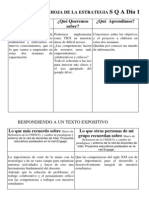 Estrategia Sqa-Metacognicin Diaria Rosely Valds