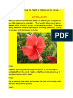 How To How To Plant A Hibiscus