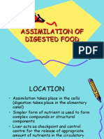 Assimilation of Digested Food