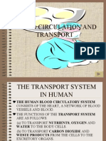 Blood Circulation and Transport