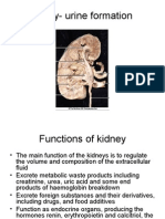 Function of Kidney