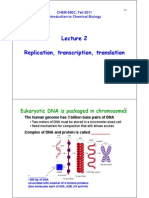 Molecular Biology Notes 1 PDF