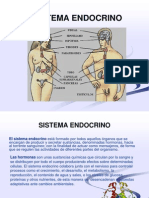 Sistema Endocrino