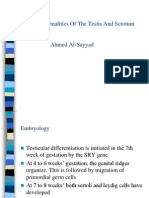 Abnormalities of The Testes and Scrotum