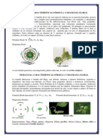 Fórmulas y Diagramas Florales