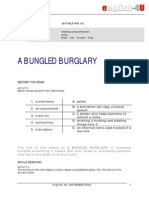 Burglars