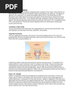 Thyroid Gland Review of Systems