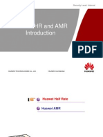 Half Rate & AMR Description