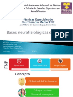 Técnicas Especiales de Neuroterapia Medio: FNP: L.T.F María Del Carmen López Zenteno Cato