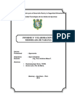 Informe #O5 de Mermelada de Naranja