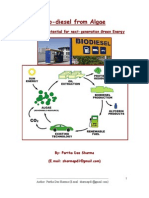 Biodiesel From Algae