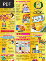 Triptico Lonchera Escolar