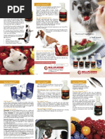 Nutraceuticals Leaflet ENG