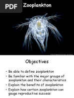 Zooplankton Session I