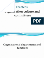 ACCA F1/ CAT FAB - Chapter 6 Organisation Culture and Committees PDF