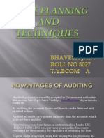 Audit Planning Techniques