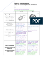 Graphic Organizer