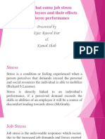 Factors That Cause Job Stress Among Employees and Their Effects On Employee Performance