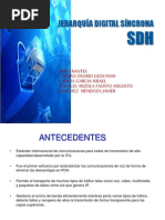 Presentacionsdh 130227022216 Phpapp02