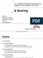 13.docking Scoring