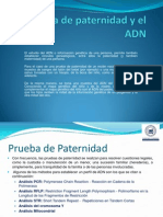 Prueba de Paternidad y El ADN