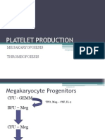 Platelet Production