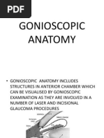 Gonioscopic Anatomy