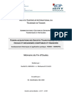 Fusion-Acquisitions Des Societes Touristiques PDF