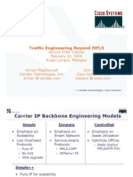 Traffic Engineering Beyond MPLS