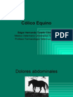 Cólico Equino en Red