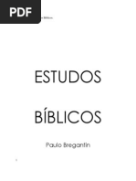 Estudos Bíblicos 