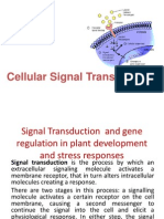 Signal Transduction and Gene Regulation in Plant Development