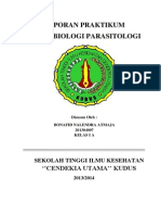 Laporan Mikrobiologi Pengamatan Bakteri