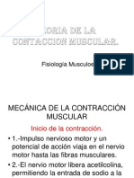 Teoria de La Contraccion Muscular