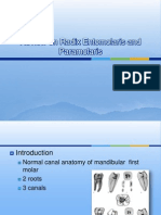 04-05-2012 Review On Radix Entomolaris and Paramolaris