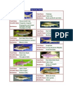 Aquarium Fish, Santoshdocument