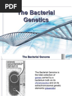 Microbiology Lecture - 05 Bacterial Genetics