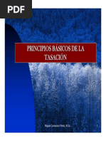 Principios Basicos de La Tasacion