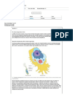 The Internal Organization of Cells